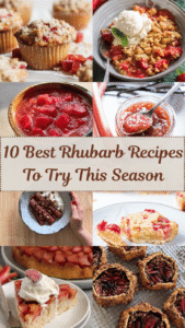 10 Best Rhubarb Recipes To Try This Season