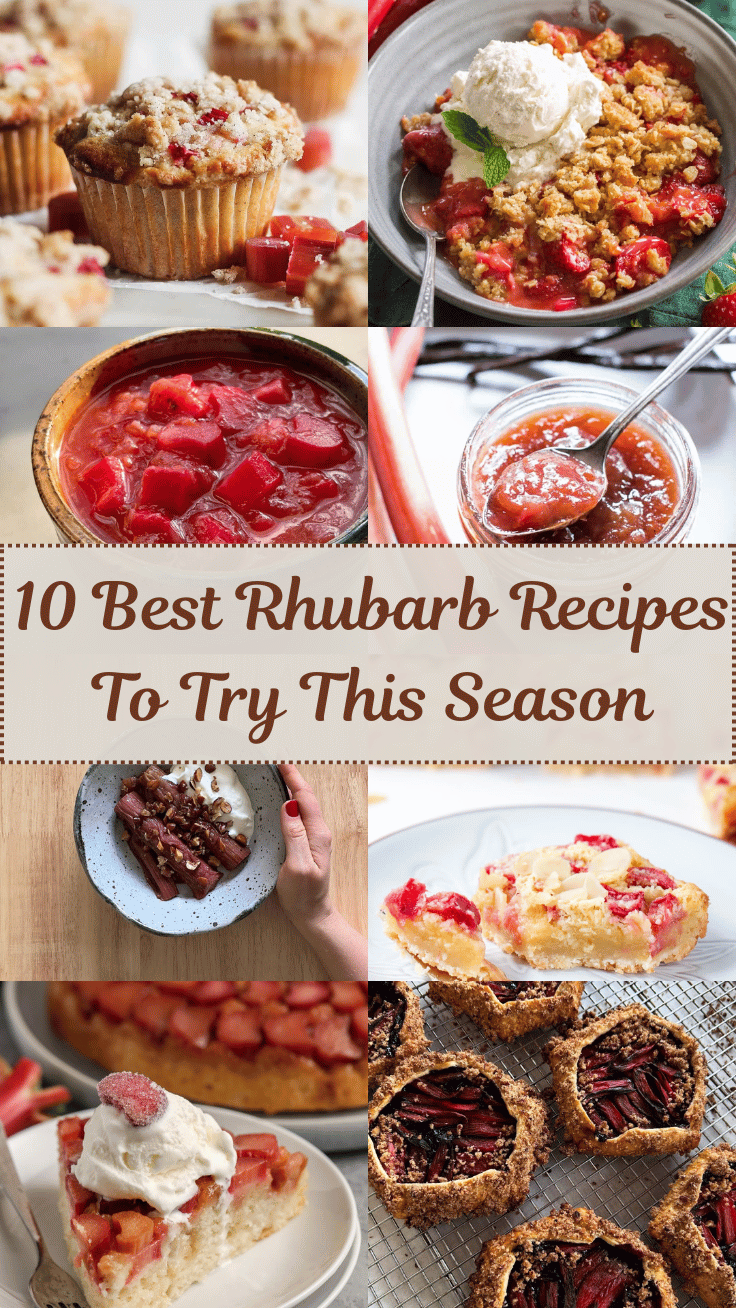 10 Best Rhubarb Recipes To Try This Season