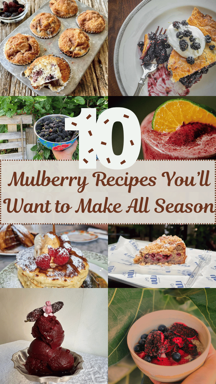 10 Delicious Mulberry Recipes You’ll Want to Make All Season