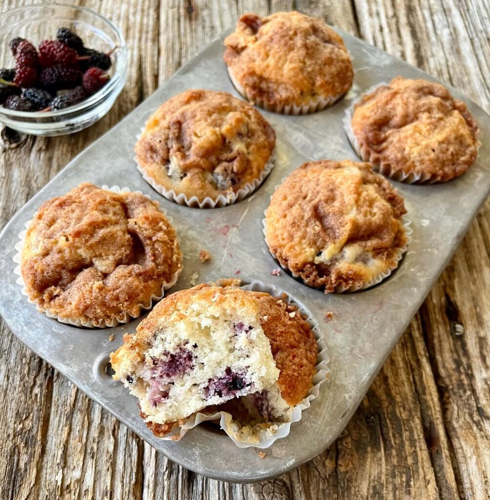 Mulberry Muffins