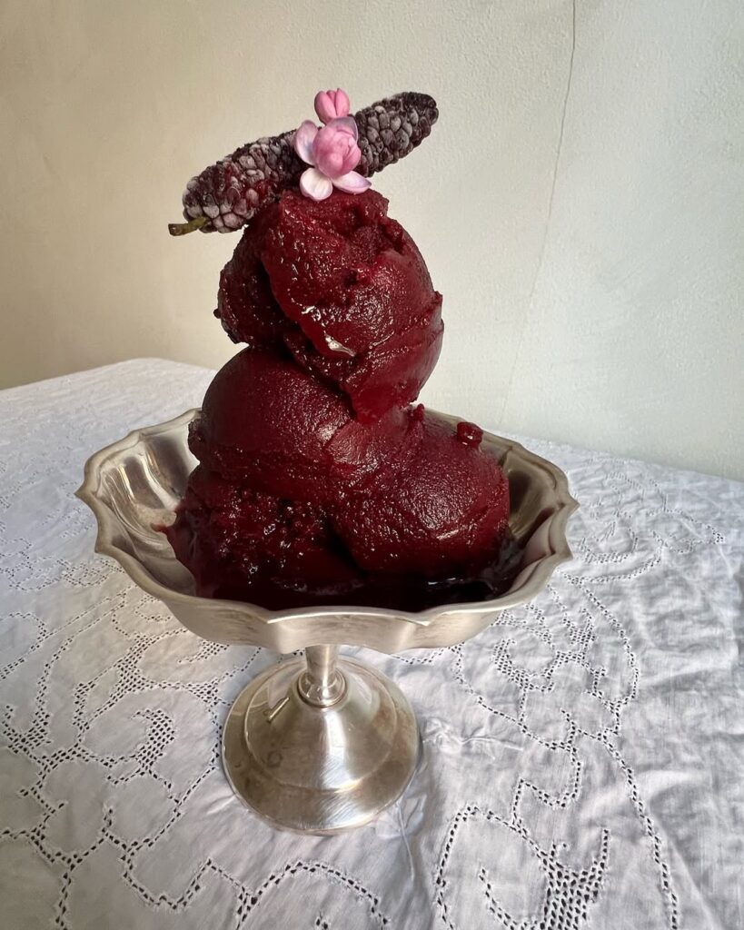 Mulberry Sorbet