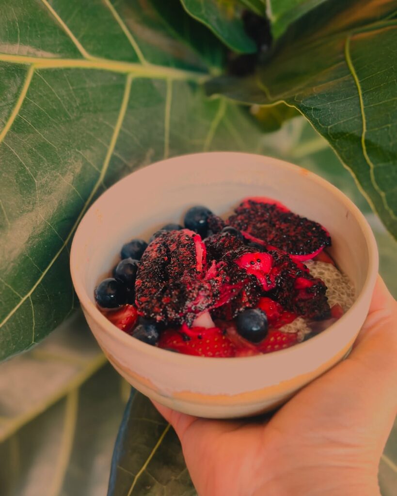 Mulberry Chia Pudding