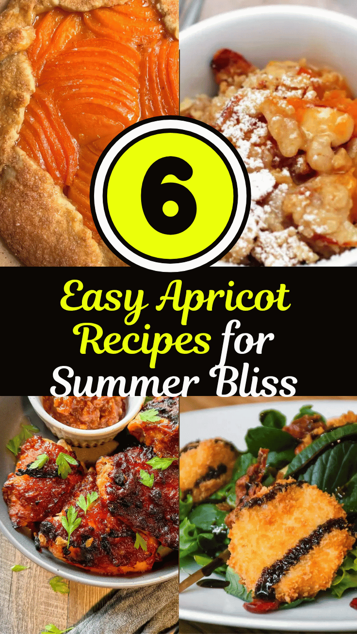 6 Irresistible Apricot Recipes to Celebrate Summer's Sweetest Fruit